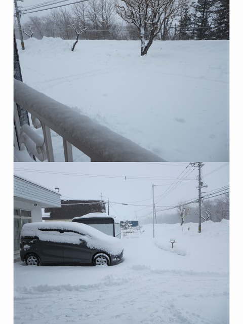 ファイル 11-1.jpg