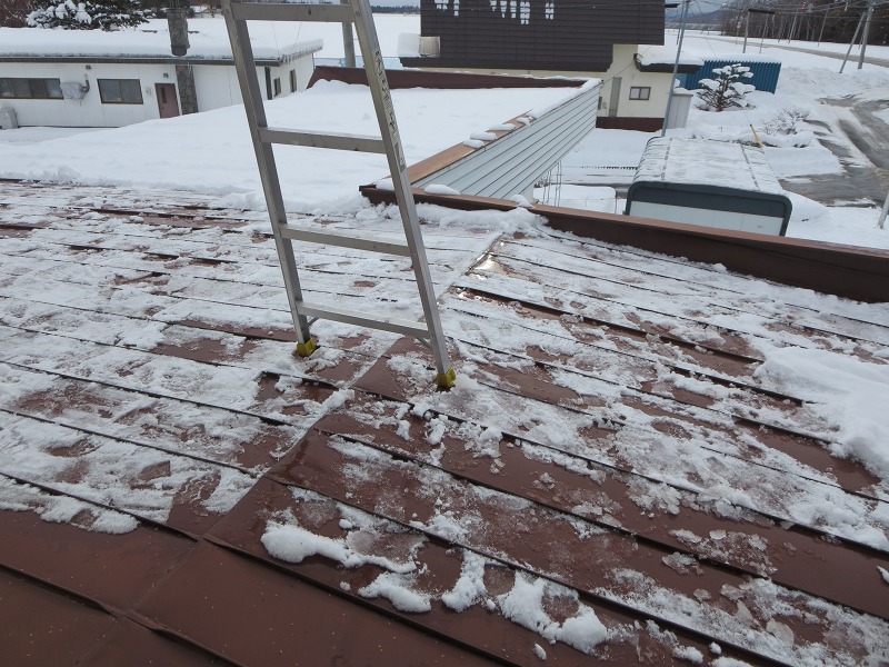 ファイル 11-3.jpg