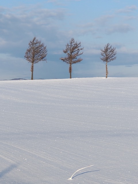 ファイル 111-3.jpg