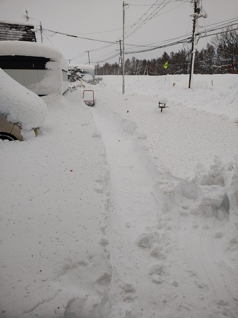 ファイル 112-1.jpg