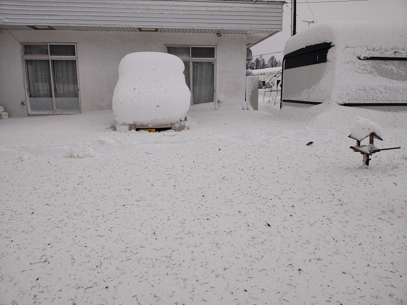 ファイル 112-3.jpg