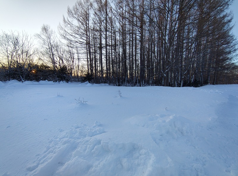 ファイル 113-4.jpg