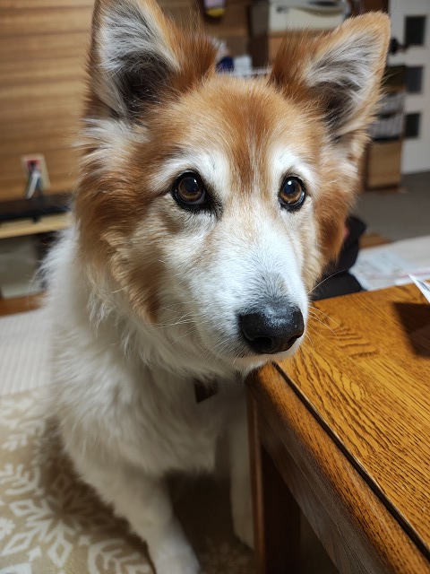 ファイル 113-5.jpg