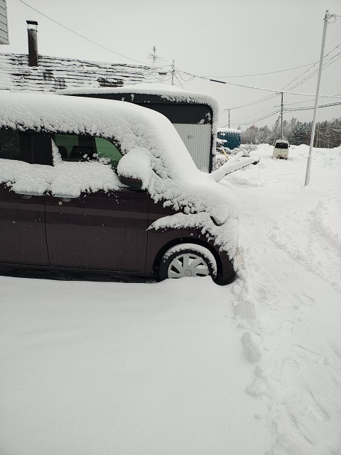 ファイル 115-1.jpg