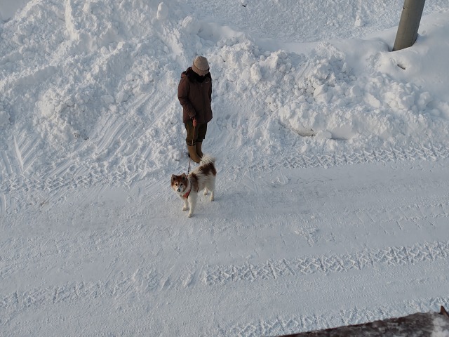 ファイル 115-9.jpg