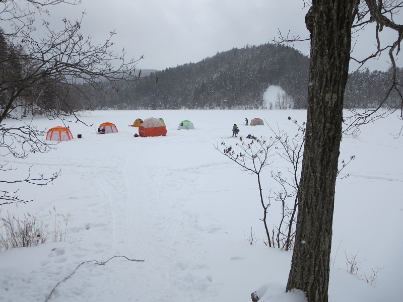 ファイル 12-6.jpg