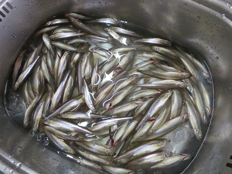 ファイル 12-7.jpg