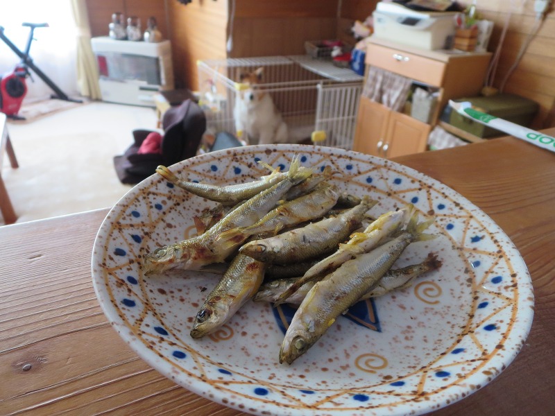 ファイル 12-8.jpg