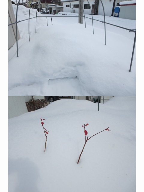 ファイル 13-3.jpg