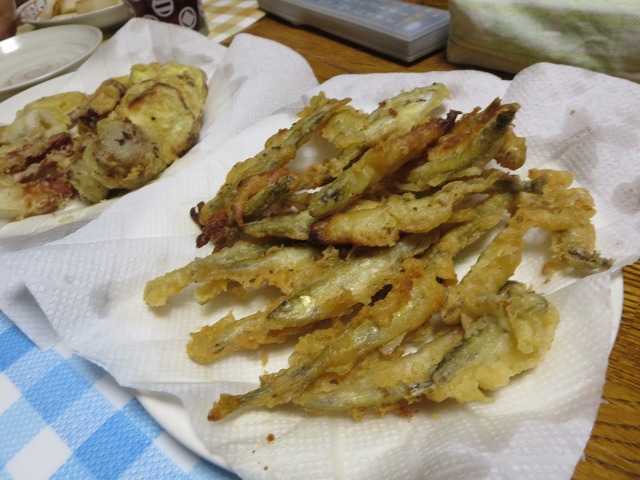 ファイル 13-9.jpg