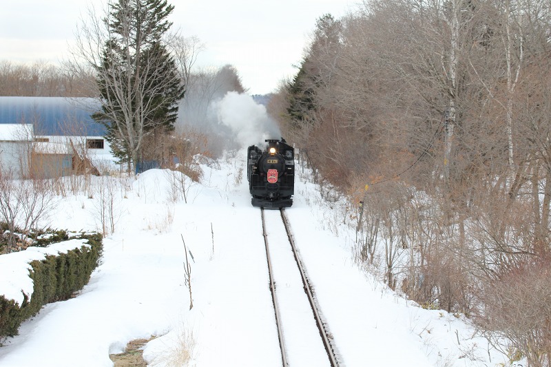 ファイル 15-5.jpg