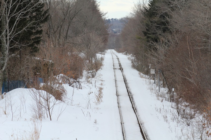 ファイル 15-8.jpg