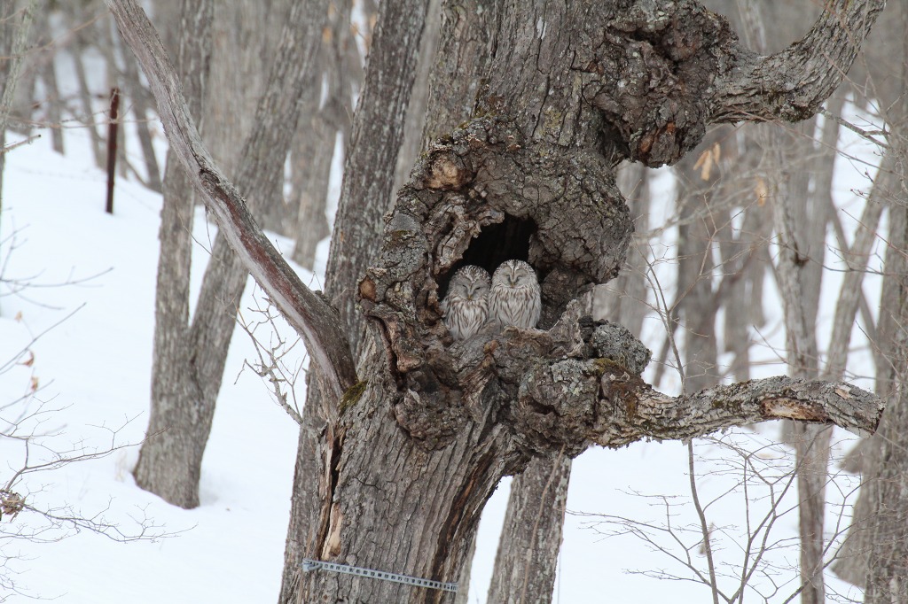 ファイル 16-3.jpg