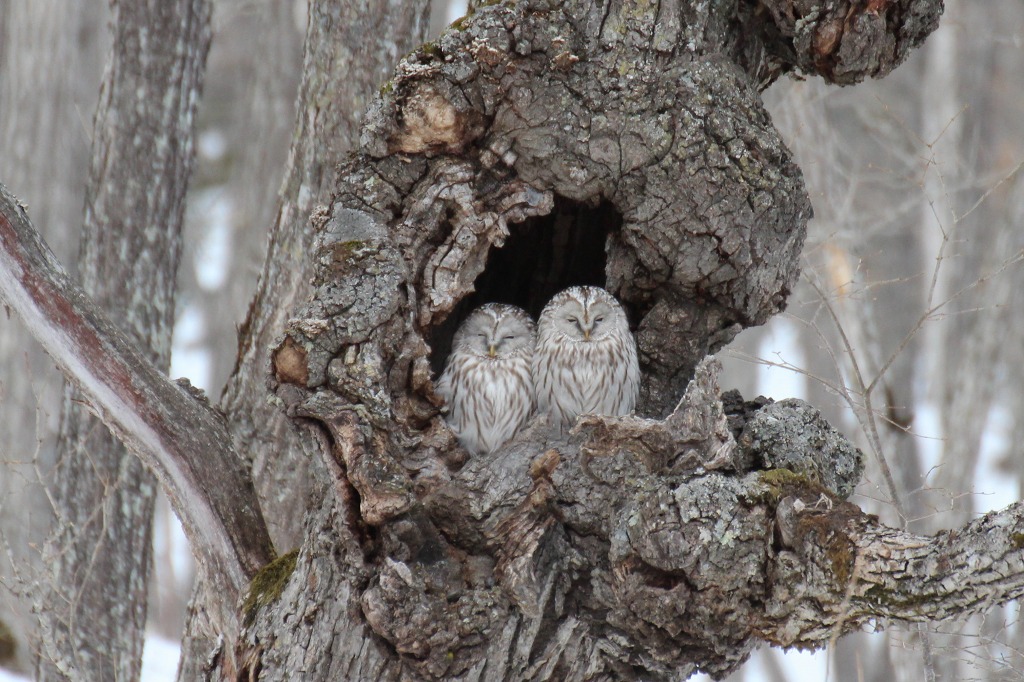 ファイル 16-5.jpg