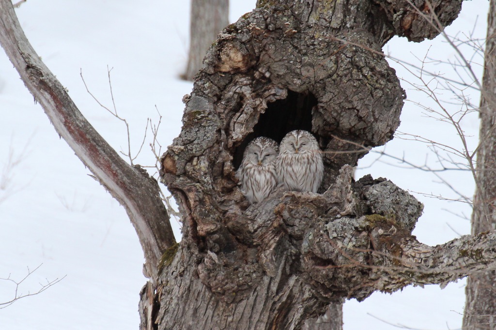 ファイル 16-7.jpg