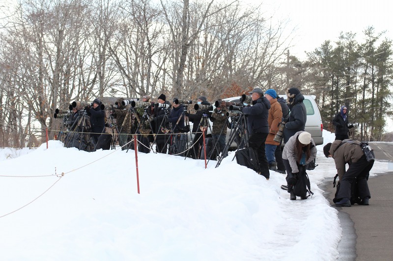 ファイル 17-1.jpg