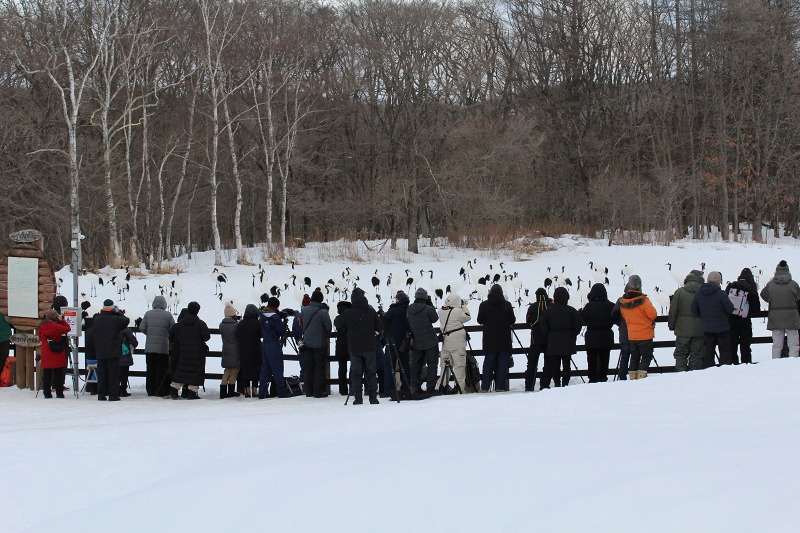 ファイル 17-3.jpg