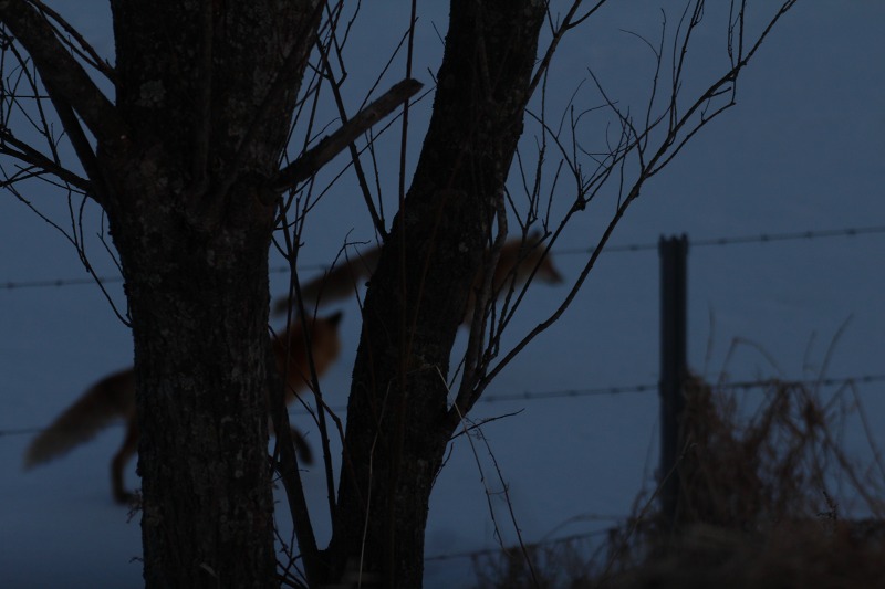 ファイル 17-8.jpg