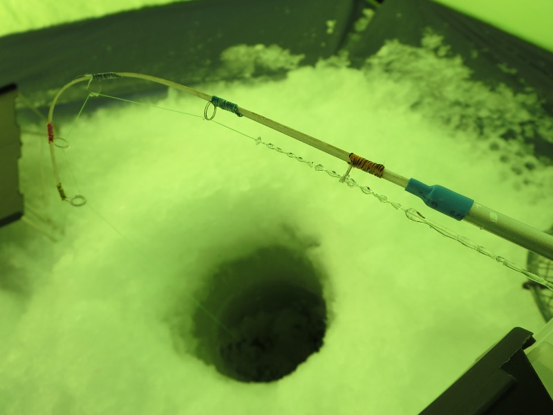 ファイル 19-1.jpg