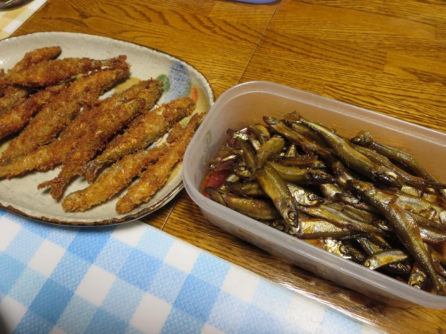 ファイル 19-9.jpg