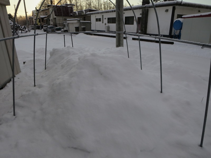 ファイル 2-2.jpg