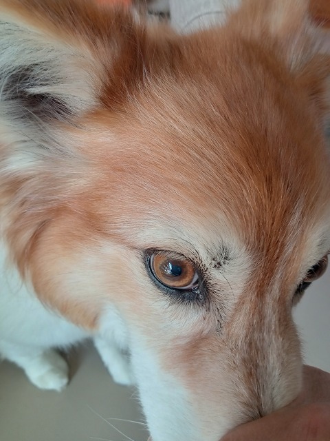 ファイル 21-2.jpg