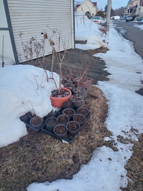 ファイル 21-8.jpg