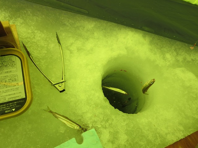 ファイル 22-5.jpg