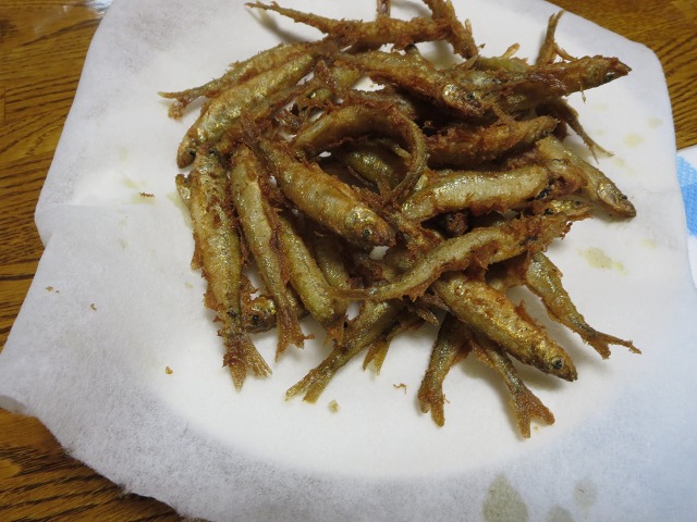 ファイル 22-8.jpg