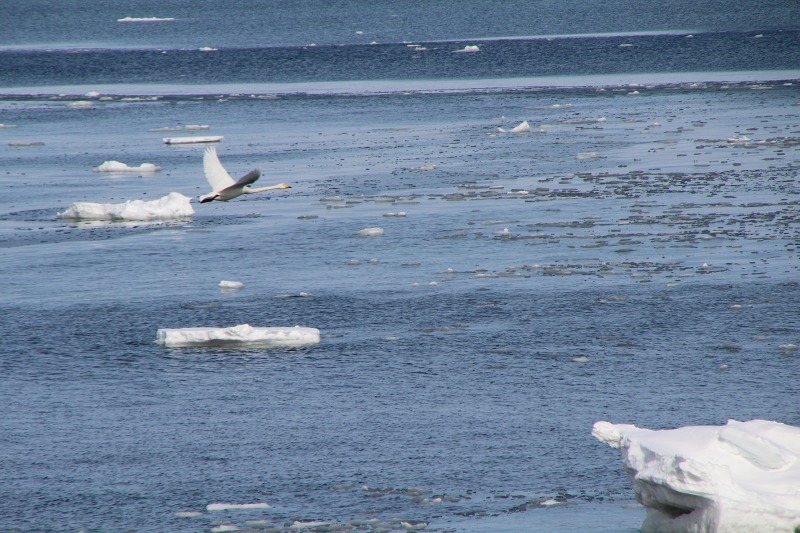 ファイル 23-5.jpg