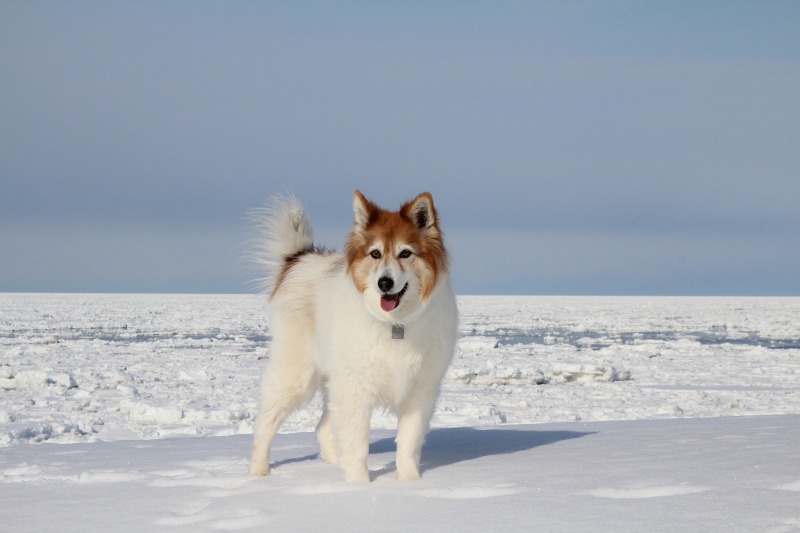 ファイル 23-8.jpg