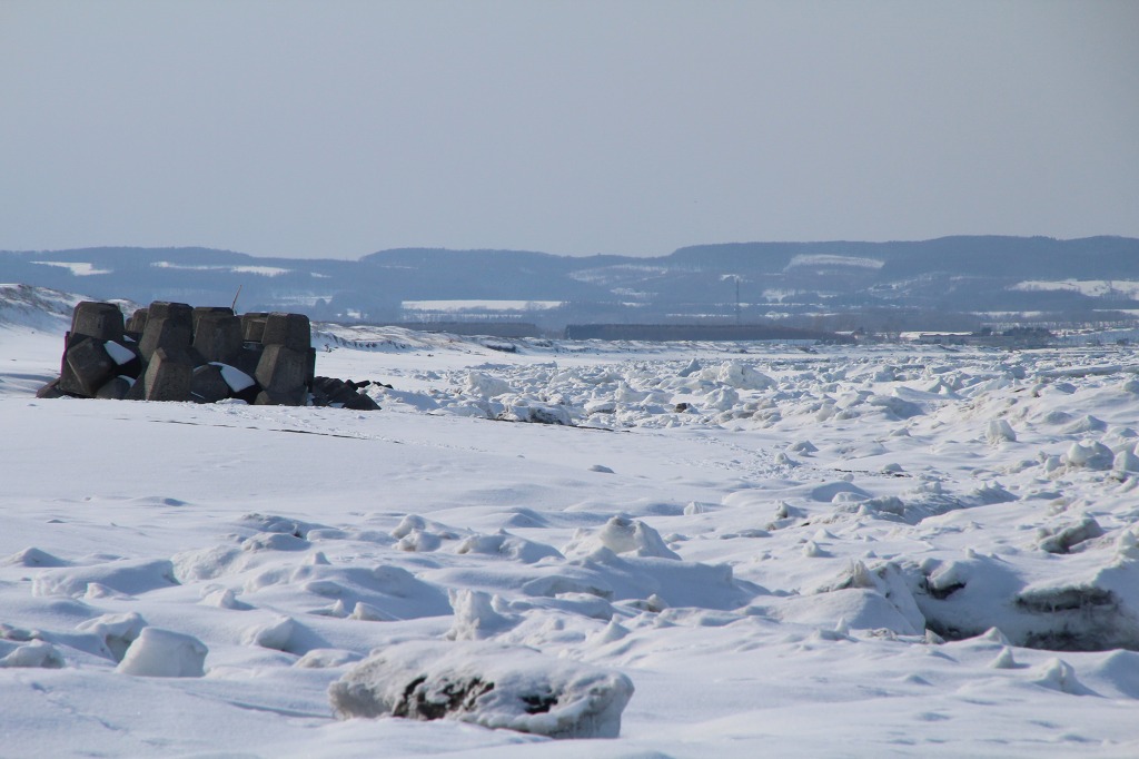 ファイル 24-4.jpg