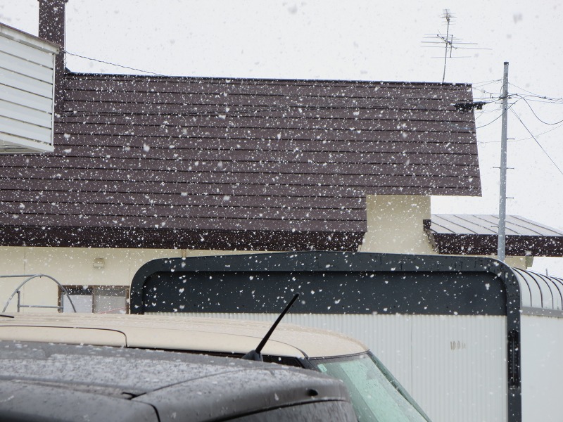 ファイル 25-9.jpg