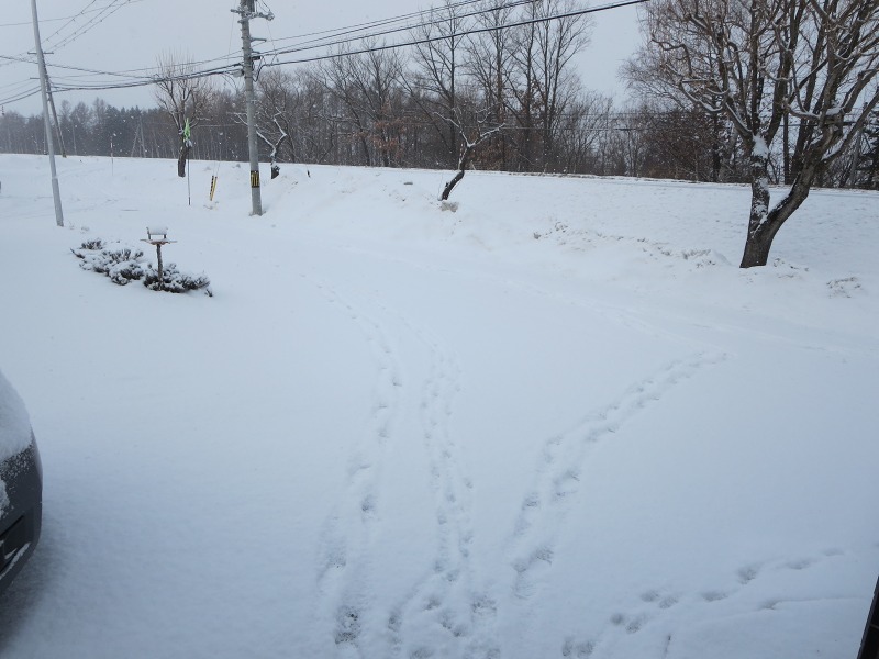 ファイル 26-1.jpg