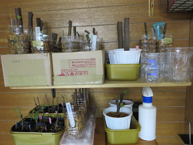 ファイル 26-6.jpg