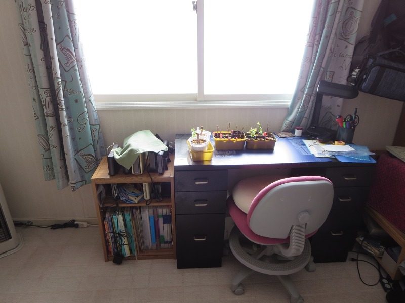 ファイル 26-8.jpg