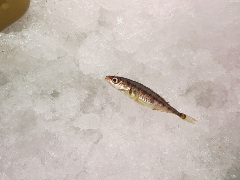 ファイル 27-4.jpg