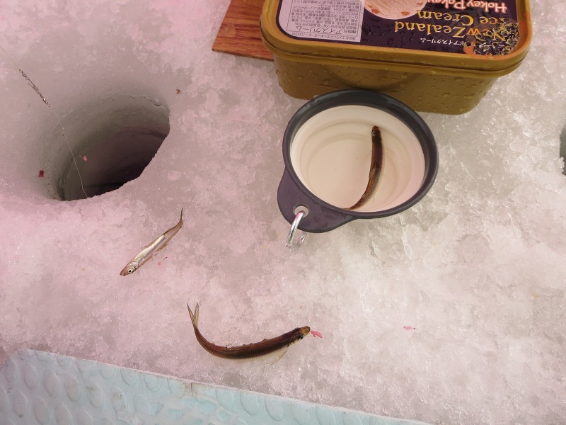 ファイル 27-6.jpg