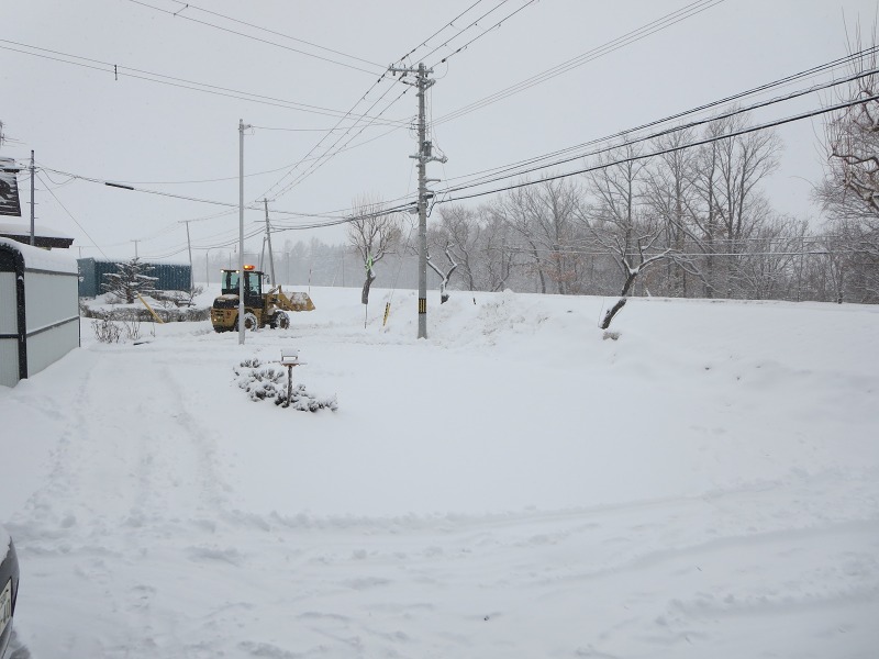 ファイル 28-1.jpg