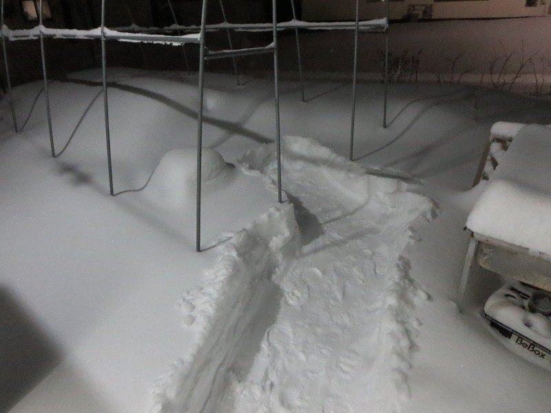 ファイル 28-5.jpg