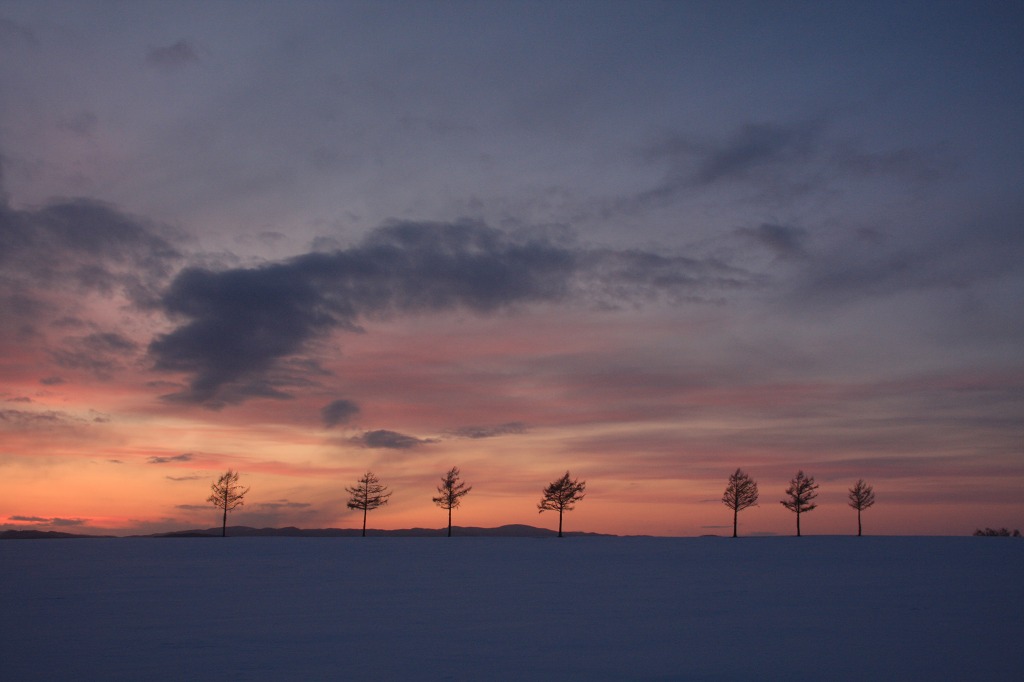 ファイル 29-2.jpg