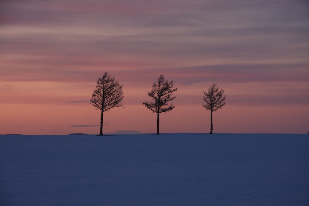 ファイル 29-3.jpg