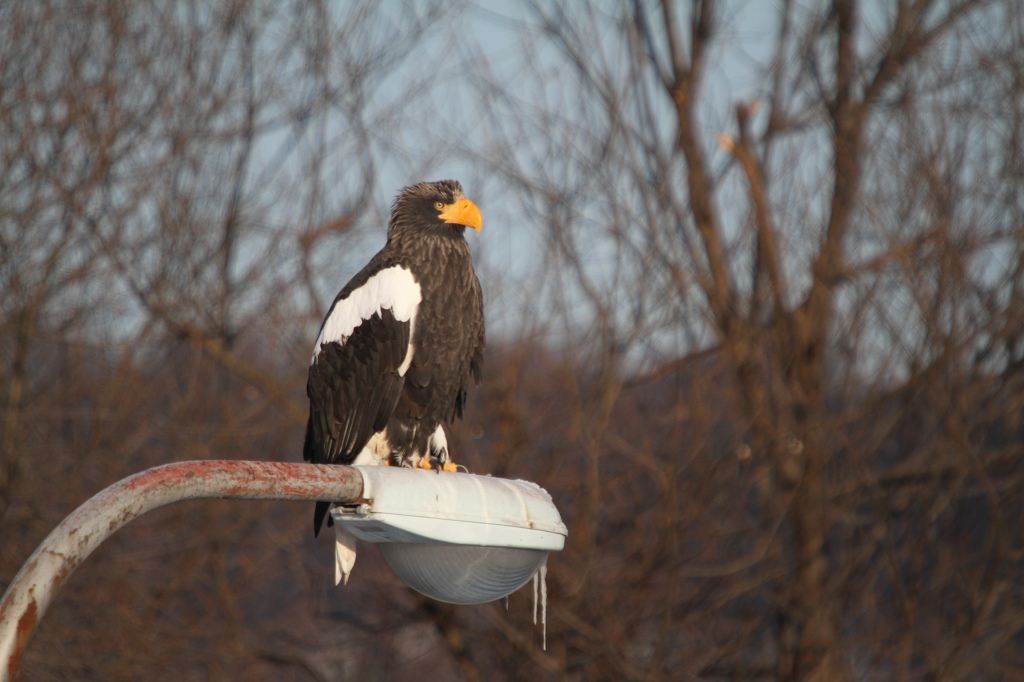 ファイル 3-3.jpg