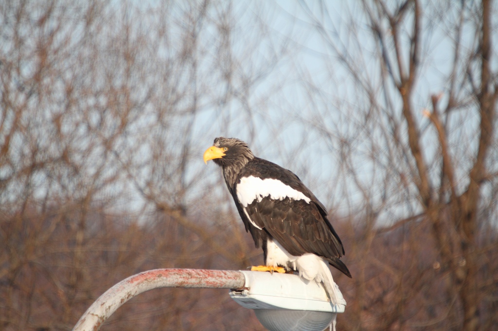 ファイル 3-4.jpg