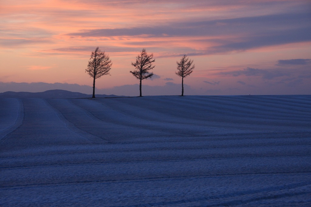 ファイル 31-2.jpg