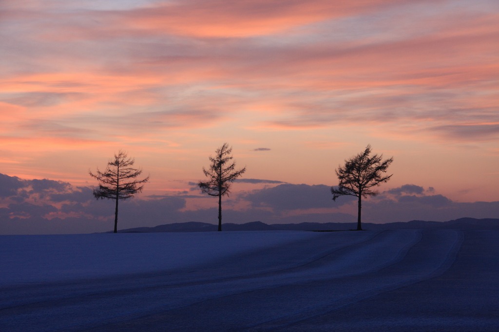 ファイル 31-3.jpg