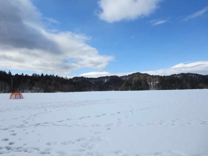 ファイル 33-2.jpg