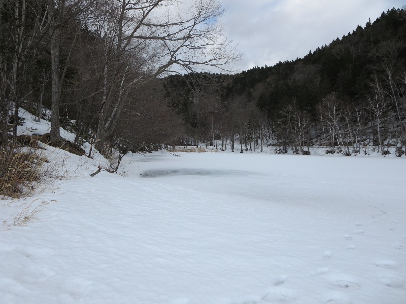 ファイル 33-3.jpg