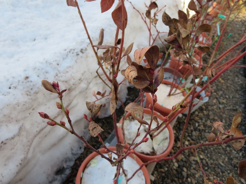 ファイル 35-5.jpg