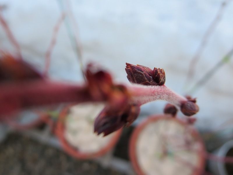 ファイル 35-7.jpg